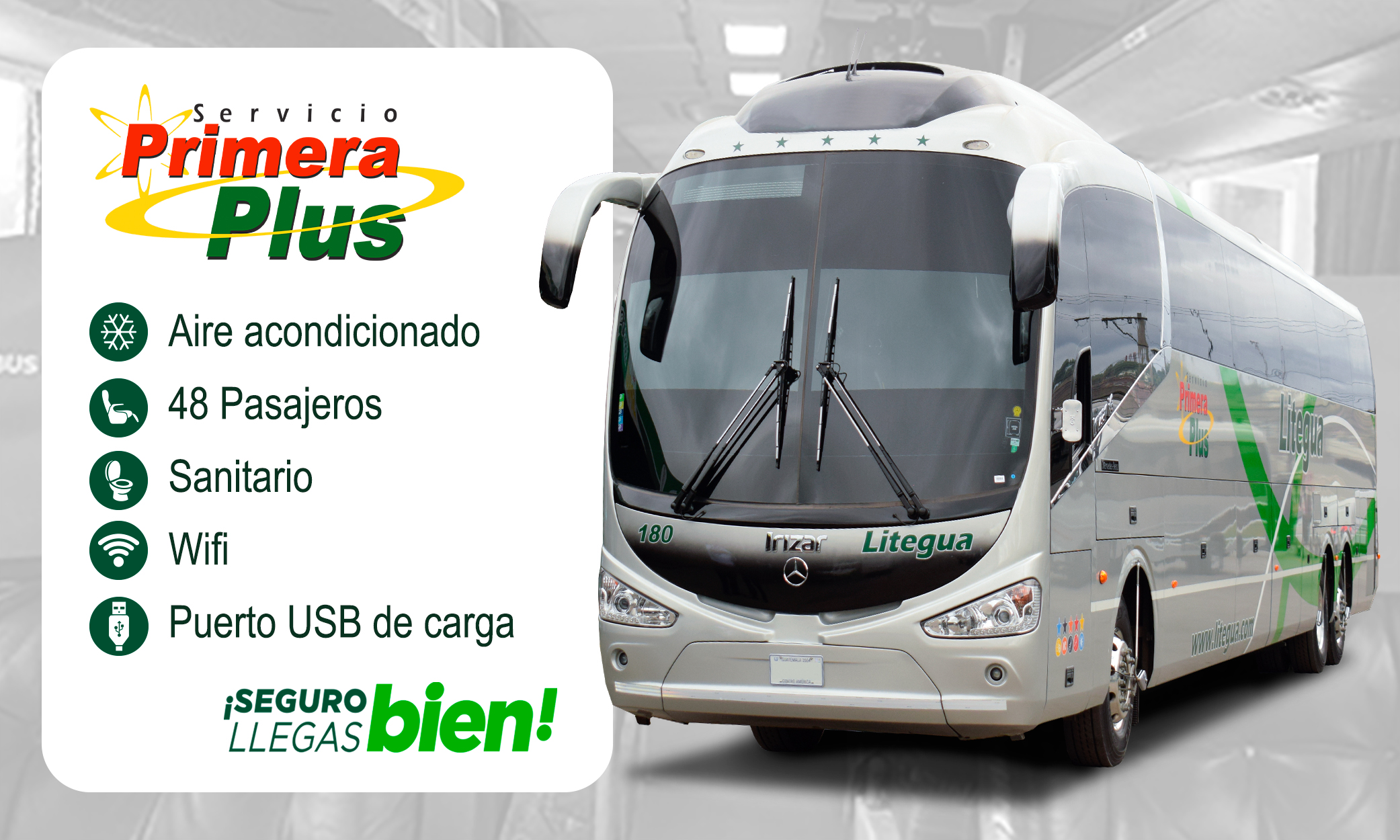 imagen bus primera plus